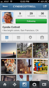 cyndies_profile