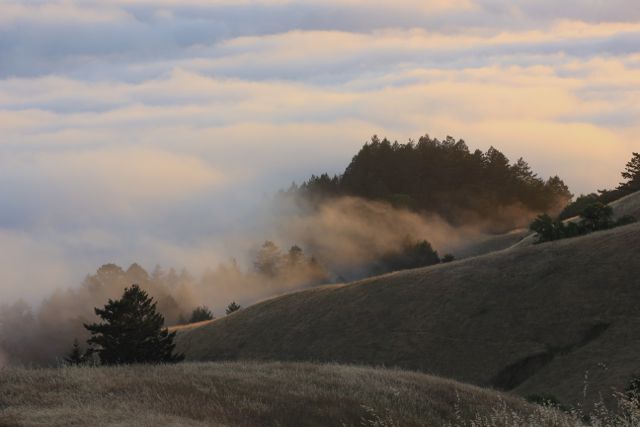 Mt. Tamalpais